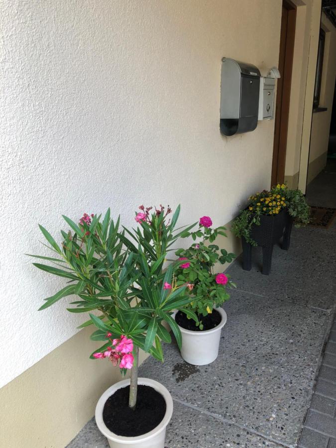 Ferienwohnung Am Gaessle Ettenheim Exteriör bild