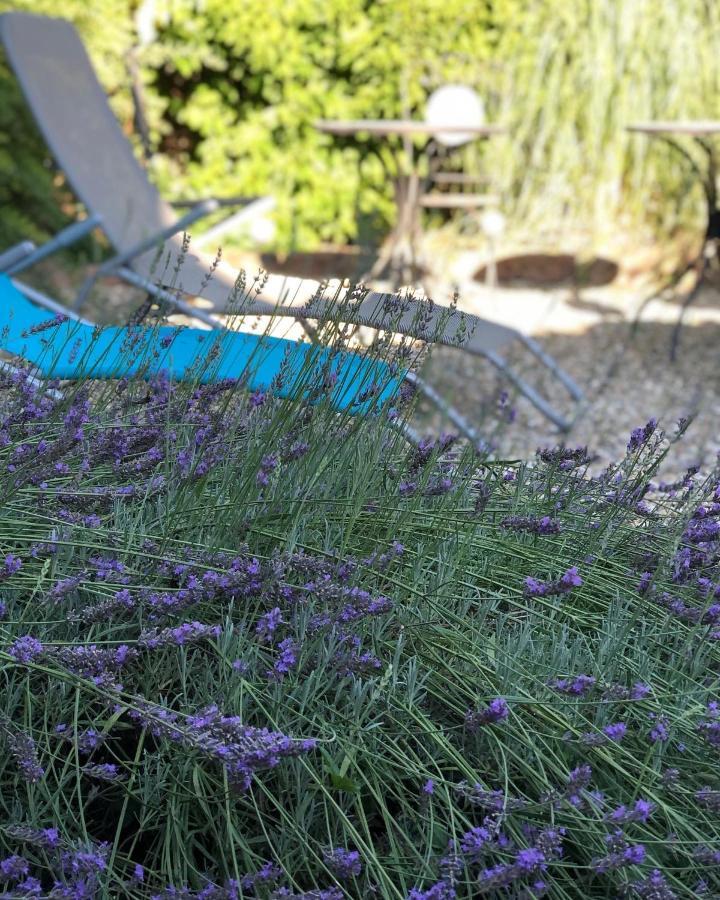 Ferienwohnung Am Gaessle Ettenheim Exteriör bild