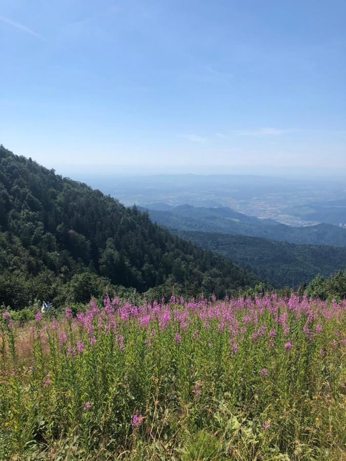 Ferienwohnung Am Gaessle Ettenheim Exteriör bild